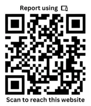 Scan to Access